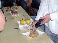 miniaturka